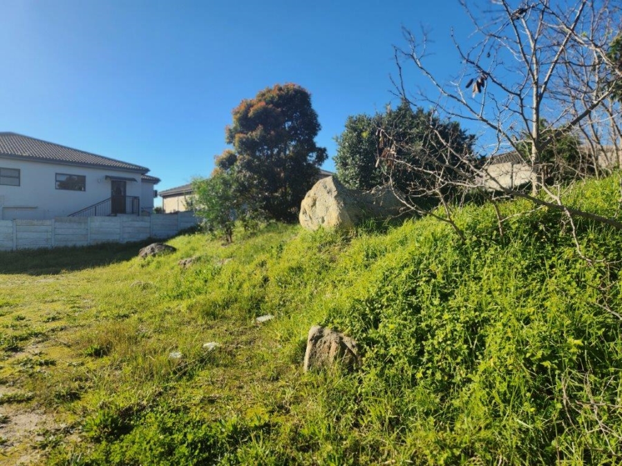 0 Bedroom Property for Sale in Kaapsig Western Cape